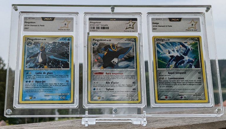 Protection pour cartes gradées PCA