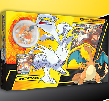 Protection pour coffret Escouade Dracaufeu Reshiram