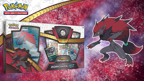 Protection pour coffret Zoroark GX
