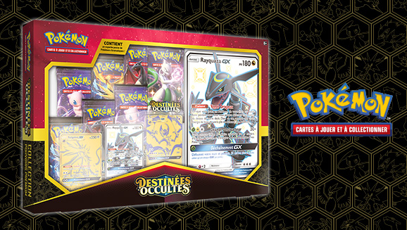 Protection pour coffret Rayquaza GX
