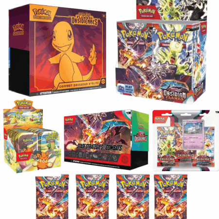 Protection Pokémon "Bundle" - SL/EB/EV