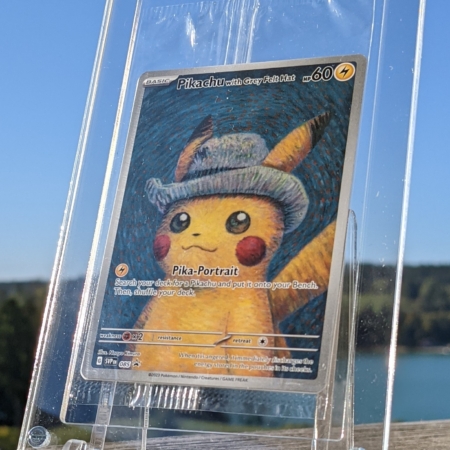 Protection pour carte scellée