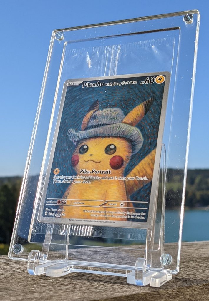 Protection pour carte scellée