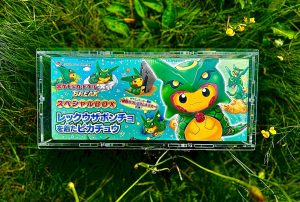 Protection pour coffrets Pokemon Poncho - Kanazawa - Mario Pikachu - Mewtow Pokémon GO – Image 5