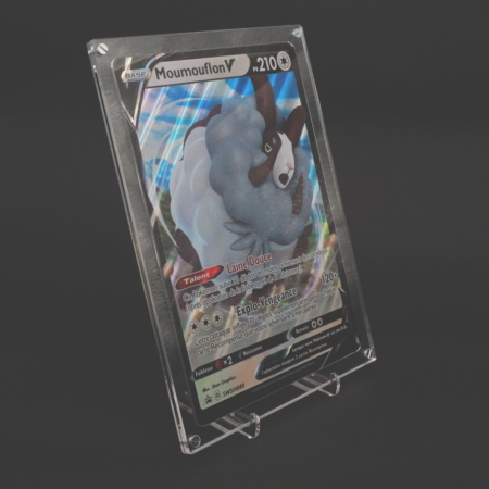 Protection pour carte Pokemon Jumbo