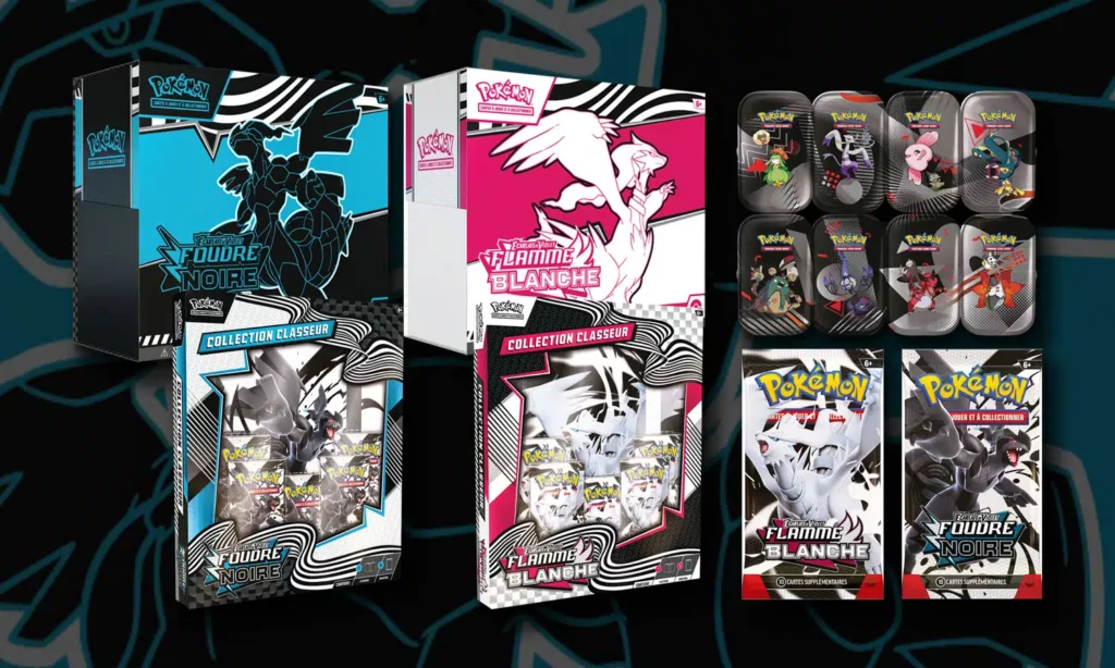 Protections coffrets Pokémon Flamme Blanche - Foudre Noire EV 10.5
