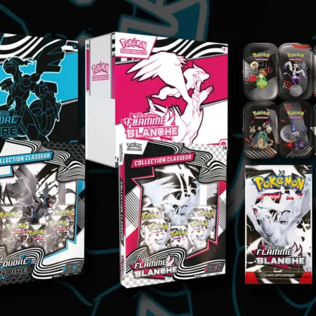 Protections coffrets Pokémon Flamme Blanche - Foudre Noire EV 10.5